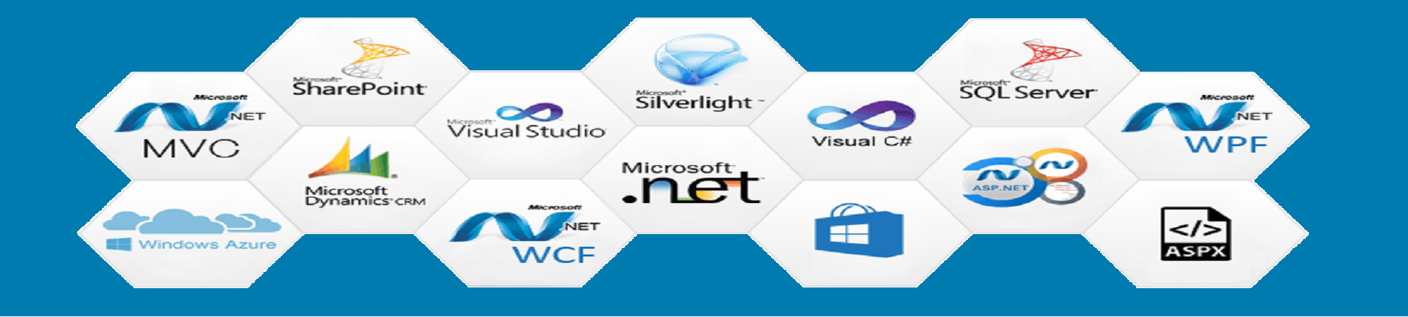 customised application development Delhi India