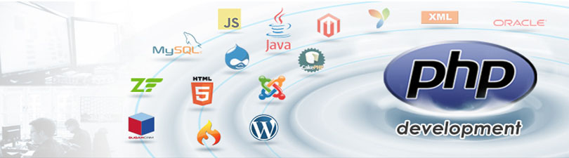 customised application development Delhi India