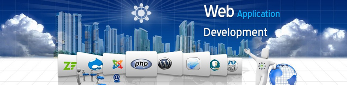 customised application development Delhi India